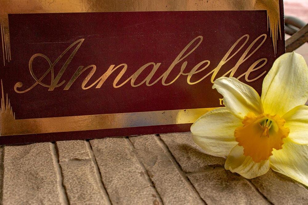 Annabelle Отель Odessa Buitenkant foto